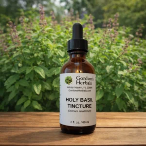 holy basil tincture
