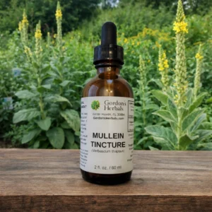 mullein tincture